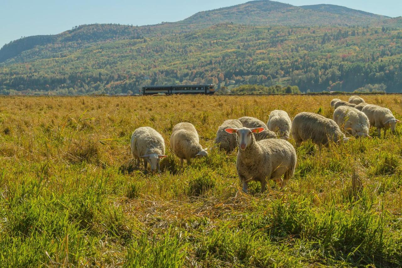 Hotel & Spa Le Germain Charlevoix Baie-Saint-Paul Luaran gambar